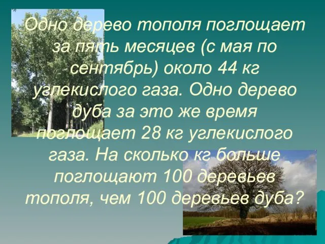 Одно дерево тополя поглощает за пять месяцев (с мая по сентябрь) около