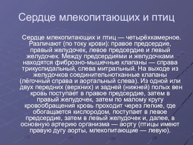 Сердце млекопитающих и птиц Сердце млекопитающих и птиц — четырёхкамерное. Различают (по