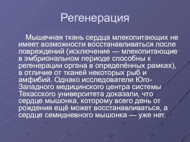 Регенерация Мышечная ткань сердца млекопитающих не имеет возможности восстанавливаться после повреждений (исключение