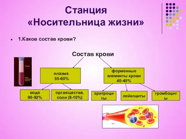 Станция «Носительница жизни» 1.Каков состав крови? Состав крови плазма 55-60% форменные элементы