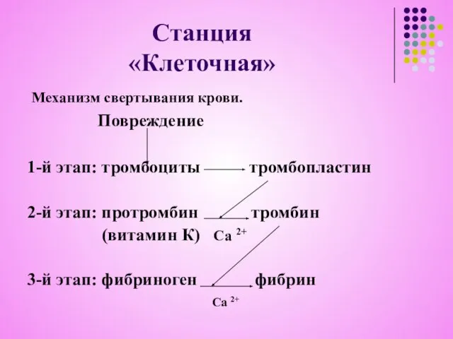 Механизм свертывания крови. Повреждение 1-й этап: тромбоциты тромбопластин 2-й этап: протромбин тромбин