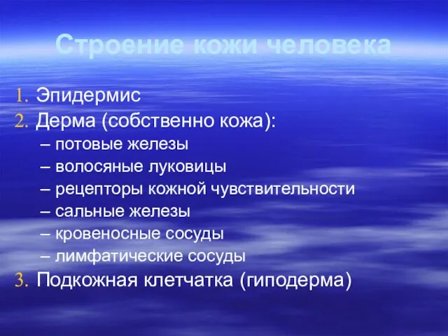 Строение кожи человека Эпидермис Дерма (собственно кожа): потовые железы волосяные луковицы рецепторы