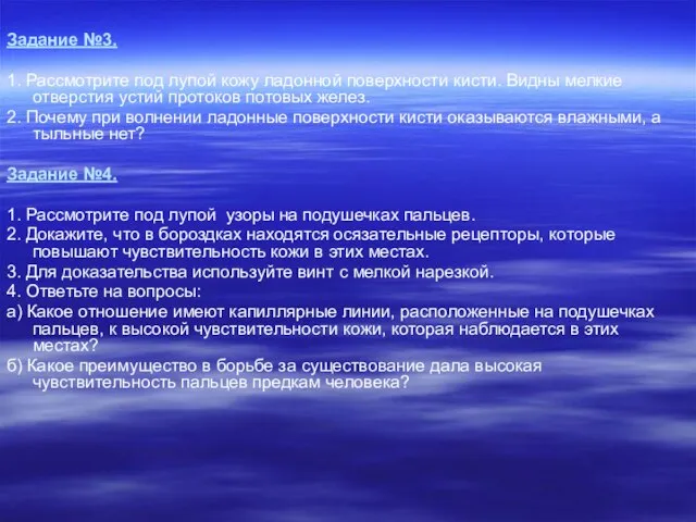 Задание №3. 1. Рассмотрите под лупой кожу ладонной поверхности кисти. Видны мелкие