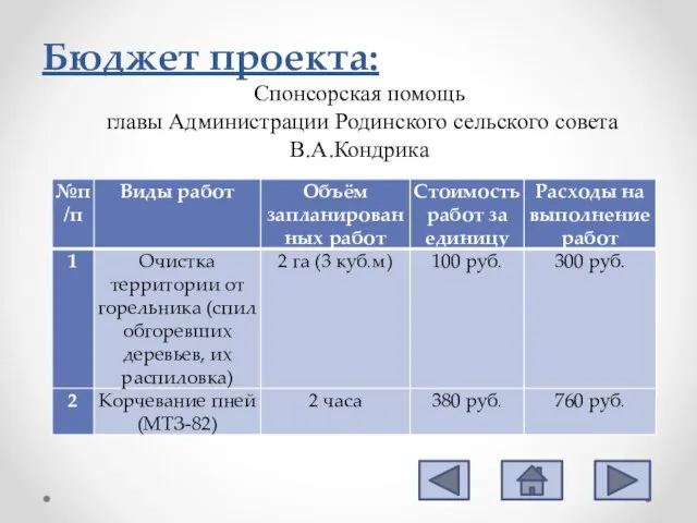 Бюджет проекта: Спонсорская помощь главы Администрации Родинского сельского совета В.А.Кондрика