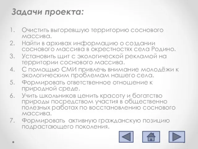 Задачи проекта: Очистить выгоревшую территорию соснового массива. Найти в архивах информацию о