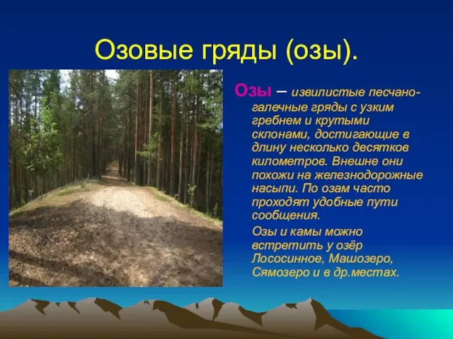 Озовые гряды (озы). Озы – извилистые песчано-галечные гряды с узким гребнем и