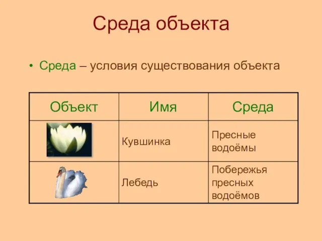 Среда объекта Среда – условия существования объекта