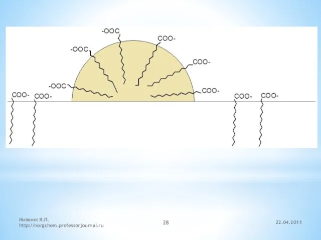 22.04.2011 Нижник Я.П. http://norgchem.professorjournal.ru