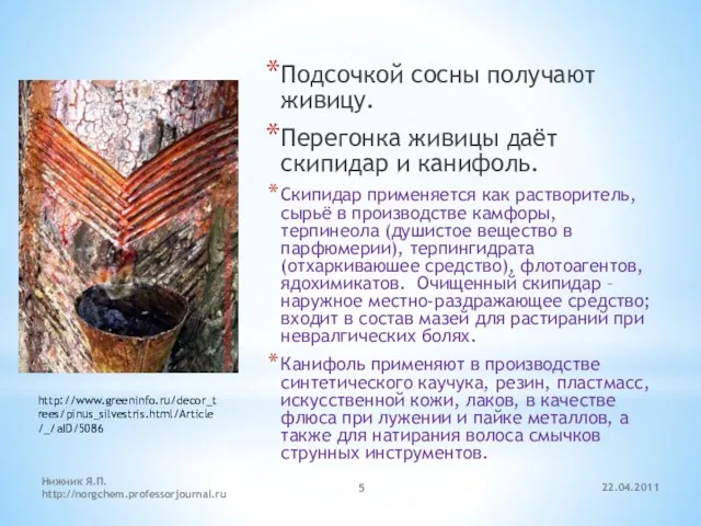 22.04.2011 Нижник Я.П. http://norgchem.professorjournal.ru Подсочкой сосны получают живицу. Перегонка живицы даёт скипидар