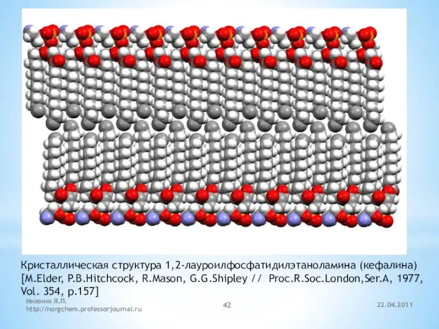 22.04.2011 Нижник Я.П. http://norgchem.professorjournal.ru Кристаллическая структура 1,2-лауроилфосфатидилэтаноламина (кефалина) [M.Elder, P.B.Hitchcock, R.Mason, G.G.Shipley