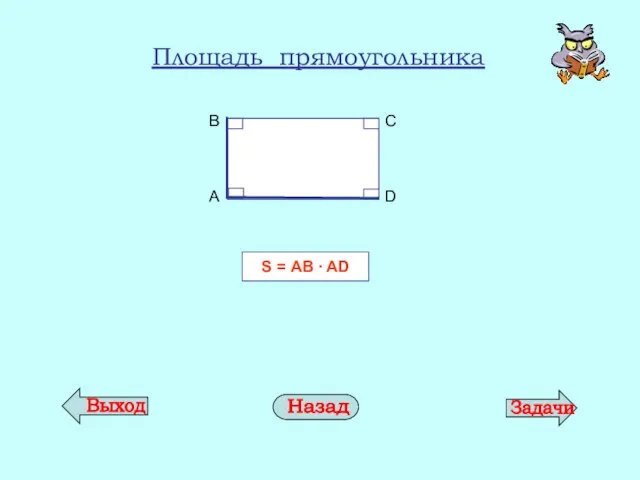 Площадь прямоугольника S = АB ∙ AD