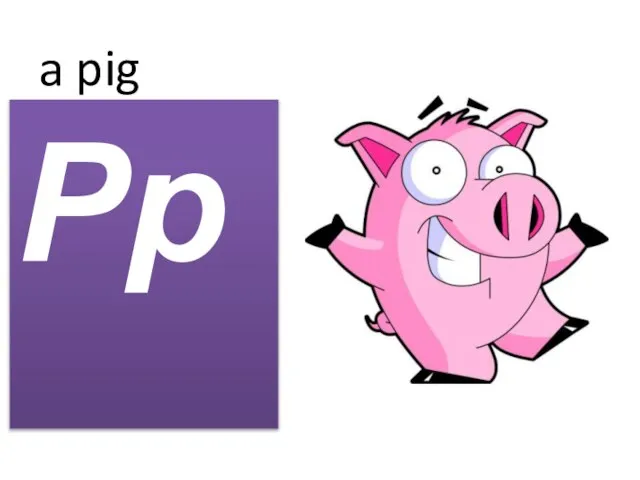 a pig Pp