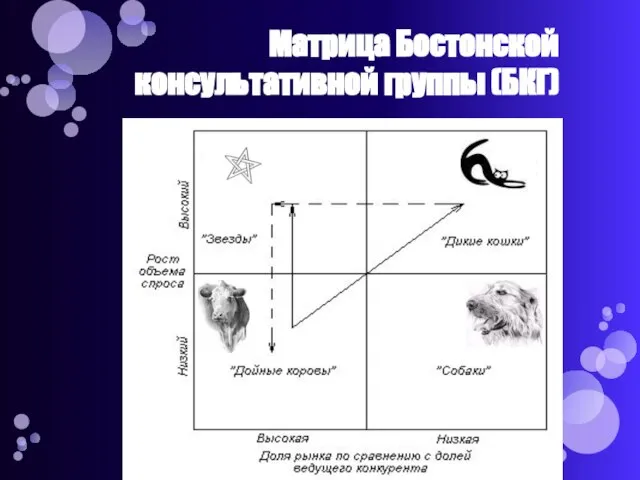 Матрица Бостонской консультативной группы (БКГ)