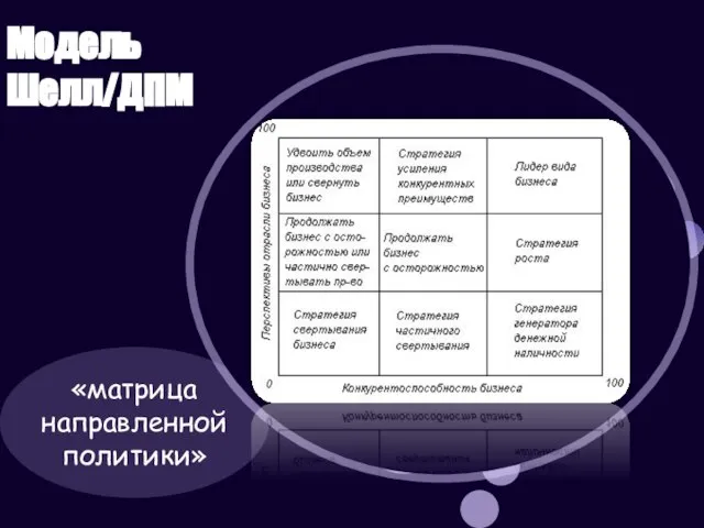 Модель Шелл/ДПМ «матрица направленной политики»