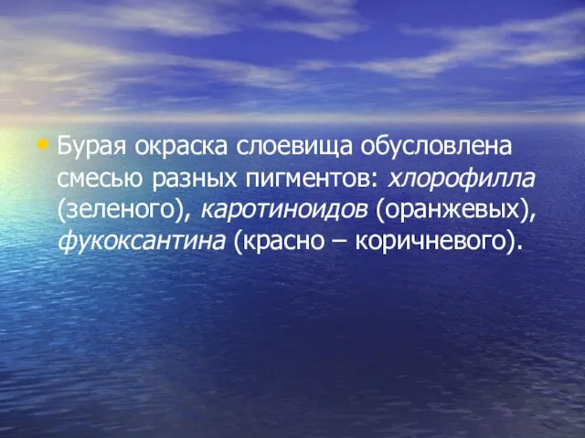 Бурая окраска слоевища обусловлена смесью разных пигментов: хлорофилла (зеленого), каротиноидов (оранжевых), фукоксантина (красно – коричневого).