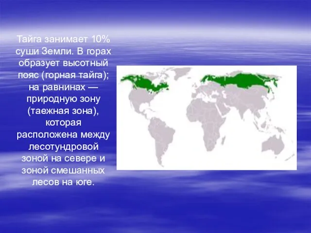 Тайга занимает 10% суши Земли. В горах образует высотный пояс (горная тайга);