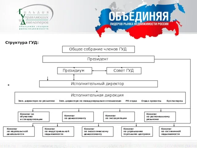 Общее собрание членов ГУД Президент Президиум Исполнительная дирекция Зам. директора по развитию