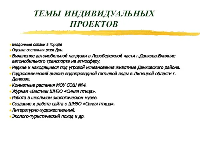 ТЕМЫ ИНДИВИДУАЛЬНЫХ ПРОЕКТОВ Бездомные собаки в городе Оценка состояния реки Дон. Выявление