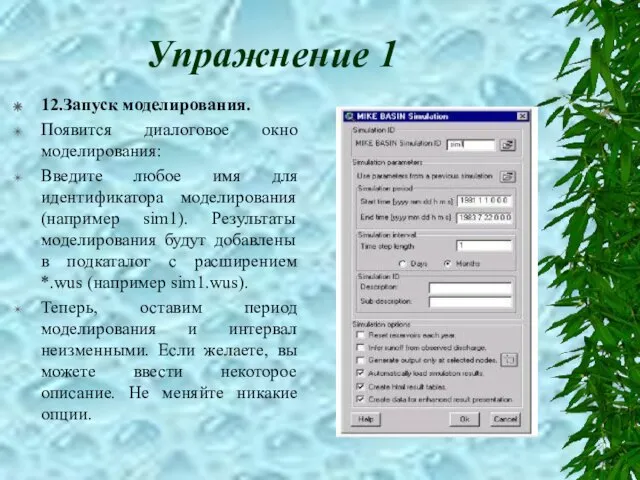 Упражнение 1 12.Запуск моделирования. Появится диалоговое окно моделирования: Введите любое имя для