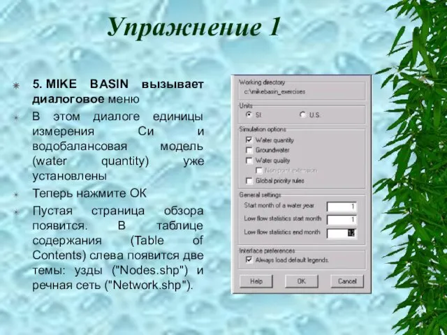 Упражнение 1 5. MIKE BASIN вызывает диалоговое меню В этом диалоге единицы