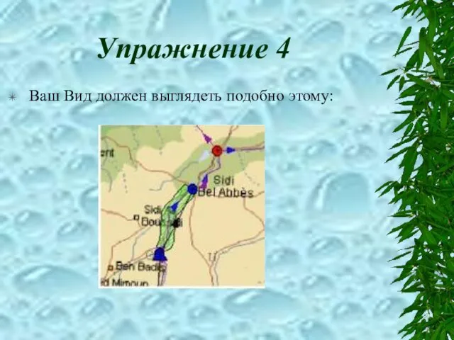 Упражнение 4 Ваш Вид должен выглядеть подобно этому: