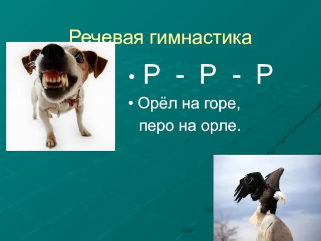 Речевая гимнастика Р - Р - Р Орёл на горе, перо на орле.