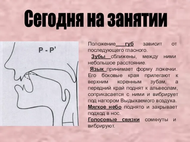 Положение губ зависит от последующего гласного. Зубы сближены, между ними небольшое расстояние.