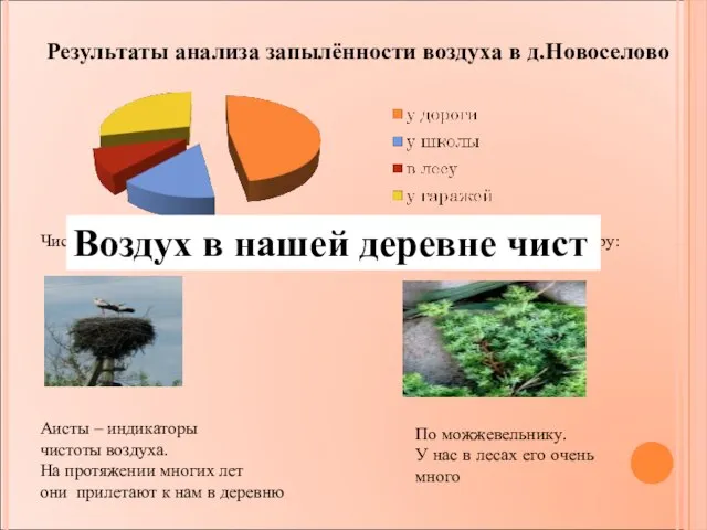 Результаты анализа запылённости воздуха в д.Новоселово Чистоту воздуха можно определить и по