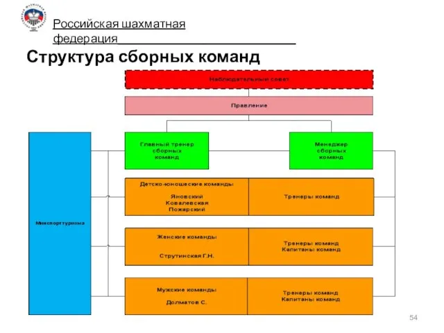 Структура сборных команд