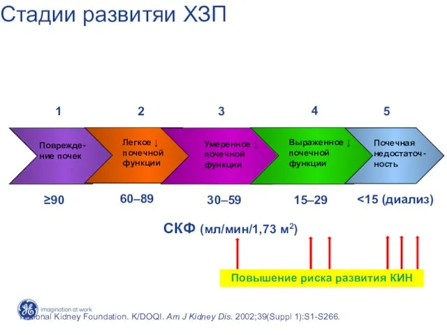 СКФ (мл/мин/1,73 м2) Поврежде-ние почек 1 ≥90 Выраженное ↓ почечной функции 4