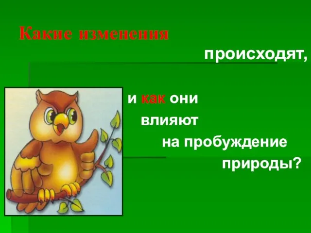 Какие изменения происходят, и как они влияют на пробуждение природы?