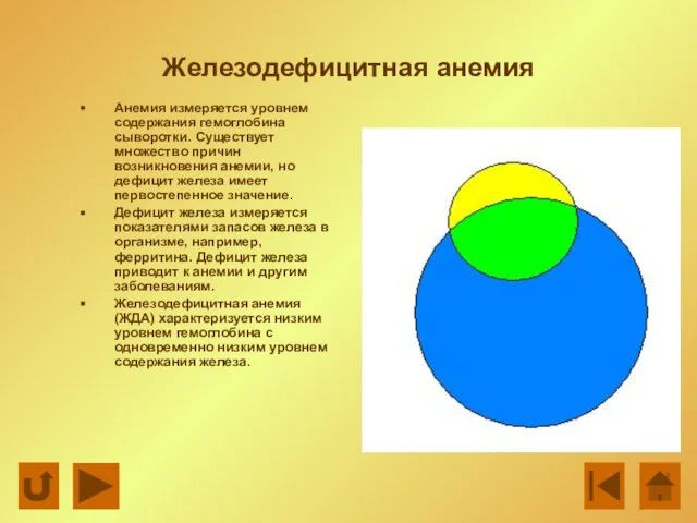 Железодефицитная анемия Анемия измеряется уровнем содержания гемоглобина сыворотки. Существует множество причин возникновения