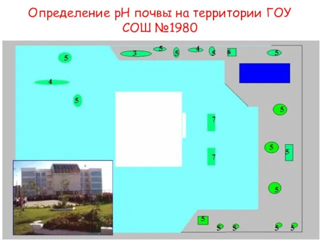 Определение pH почвы на территории ГОУ СОШ №1980