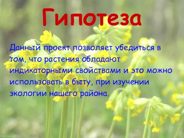 Гипотеза Данный проект позволяет убедиться в том, что растения обладают индикаторными свойствами