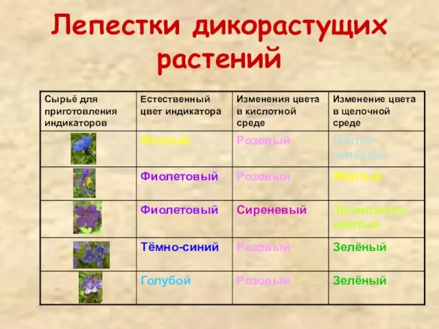 Лепестки дикорастущих растений