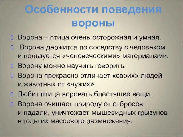 Особенности поведения вороны Ворона – птица очень осторожная и умная. Ворона держится