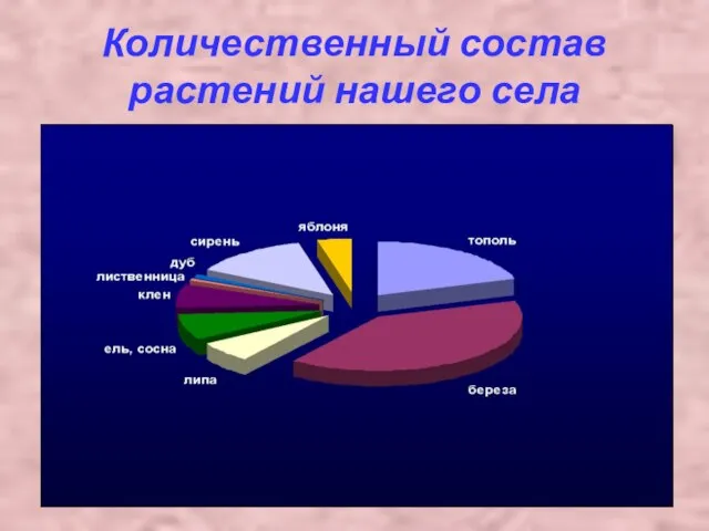 Количественный состав растений нашего села