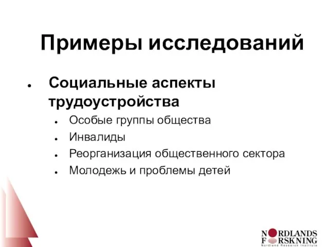 Социальные аспекты трудоустройства Особые группы общества Инвалиды Реорганизация общественного сектора Молодежь и проблемы детей Примеры исследований