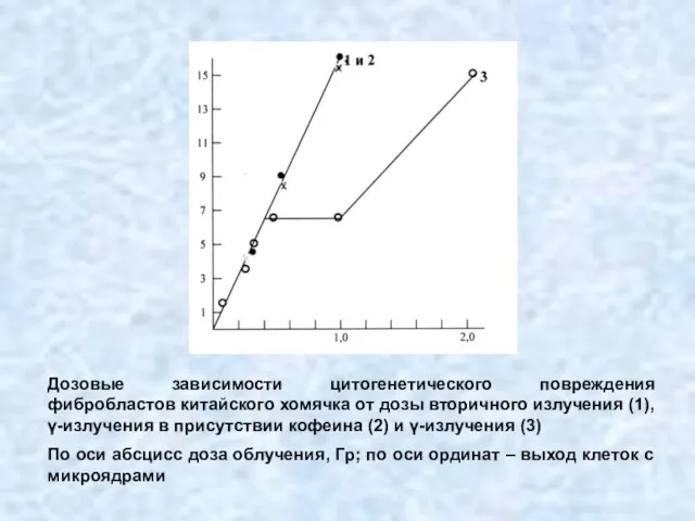 Дозовые зависимости цитогенетического повреждения фибробластов китайского хомячка от дозы вторичного излучения (1),