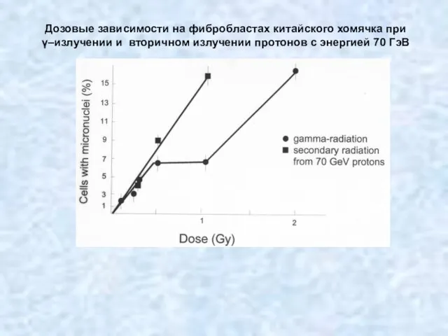 Дозовые зависимости на фибробластах китайского хомячка при γ–излучении и вторичном излучении протонов с энергией 70 ГэВ