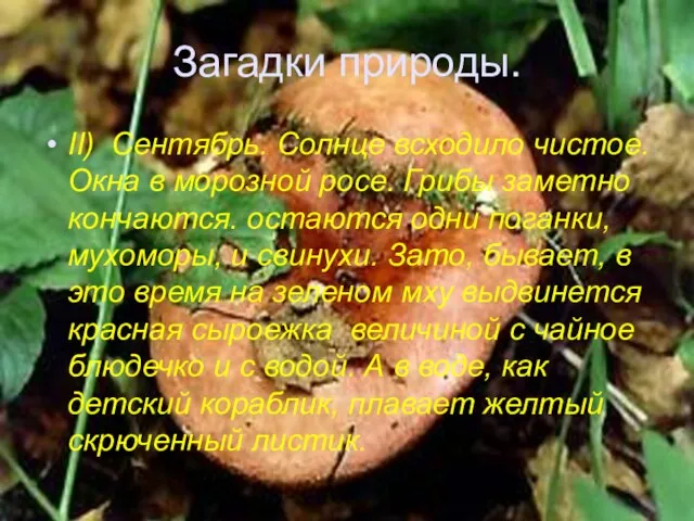 Загадки природы. II) Сентябрь. Солнце всходило чистое. Окна в морозной росе. Грибы