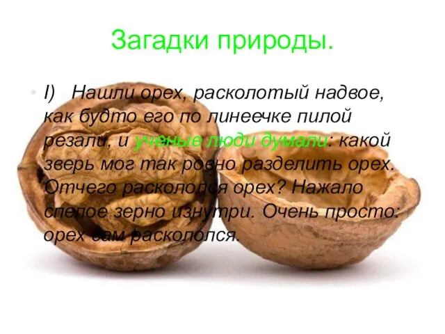 Загадки природы. I) Нашли орех, расколотый надвое, как будто его по линеечке