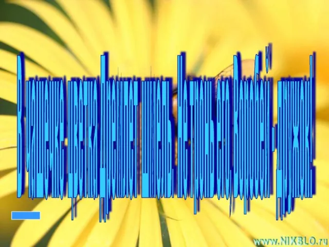 В чашечке цветка Дремлет шмель. Не тронь его, Воробей - дружок!