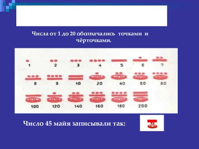 Числа от 1 до 20 обозначались точками и чёрточками. Число 45 майя