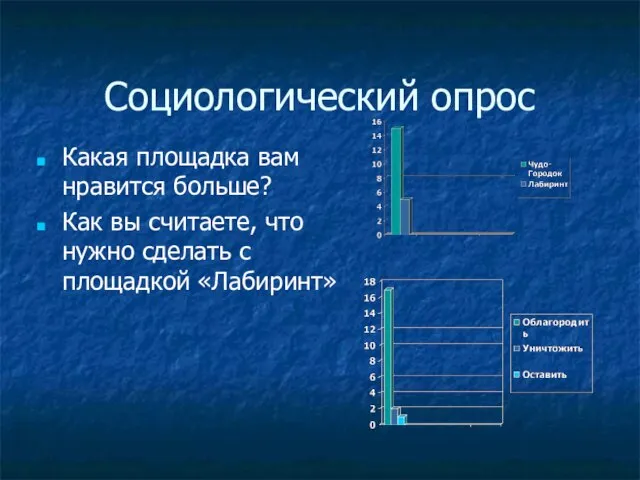 Социологический опрос Какая площадка вам нравится больше? Как вы считаете, что нужно сделать с площадкой «Лабиринт»