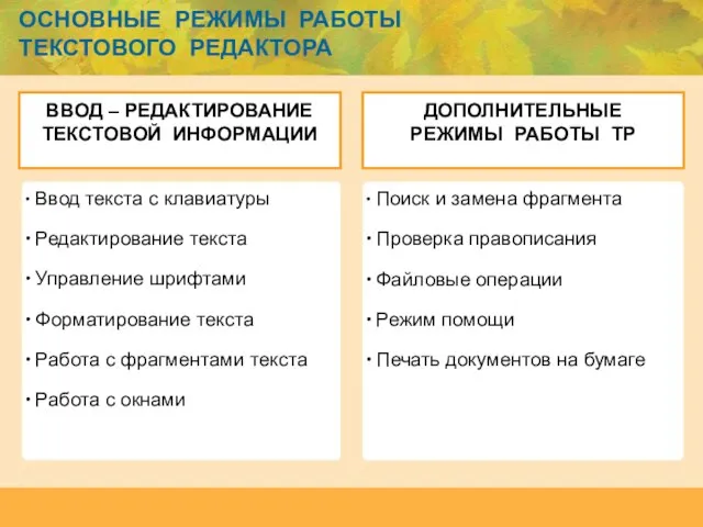 ОСНОВНЫЕ РЕЖИМЫ РАБОТЫ ТЕКСТОВОГО РЕДАКТОРА ВВОД – РЕДАКТИРОВАНИЕ ТЕКСТОВОЙ ИНФОРМАЦИИ ДОПОЛНИТЕЛЬНЫЕ РЕЖИМЫ