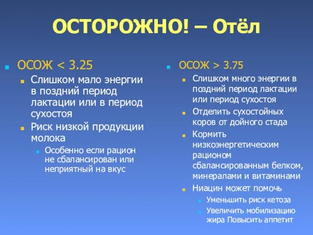 ОСТОРОЖНО! – Отёл ОСОЖ Слишком мало энергии в поздний период лактации или