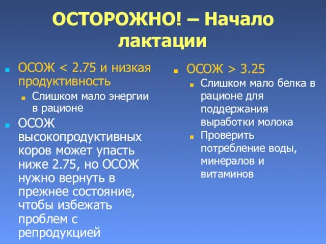 ОСТОРОЖНО! – Начало лактации ОСОЖ Слишком мало энергии в рационе ОСОЖ высокопродуктивных