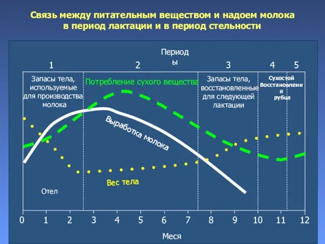 Связь между питательным веществом и надоем молока в период лактации и в