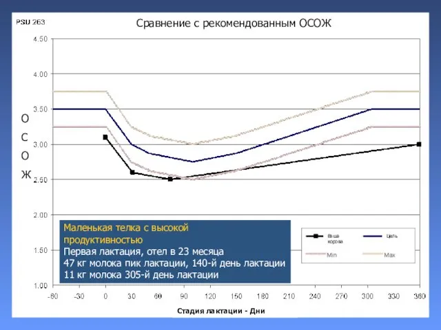 Маленькая телка с высокой продуктивностью Первая лактация, отел в 23 месяца 47